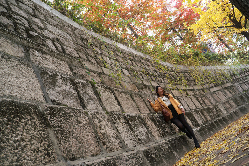 Deoksugung Doldam-gil road autumn seoul11