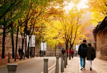 Seoul autumn foliage 2025 forecast — When & 13+ best places to see autumn leaves in Seoul Deoksugung Doldam-gil road autumn seoul