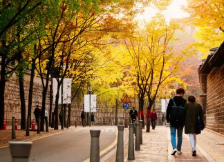 Deoksugung Doldam-gil road autumn seoul