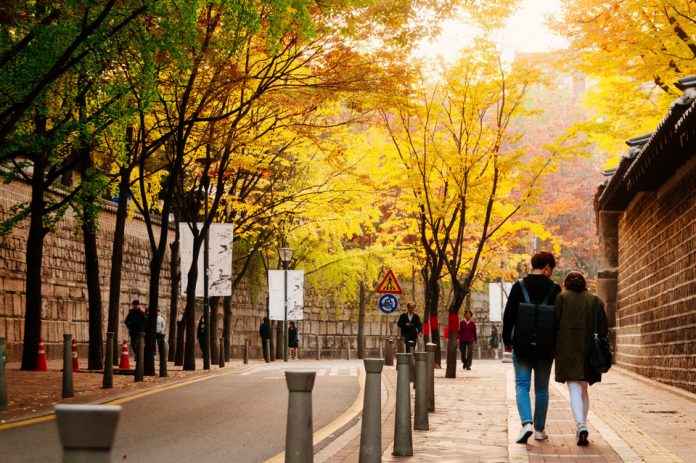 Deoksugung Doldam-gil road autumn seoul