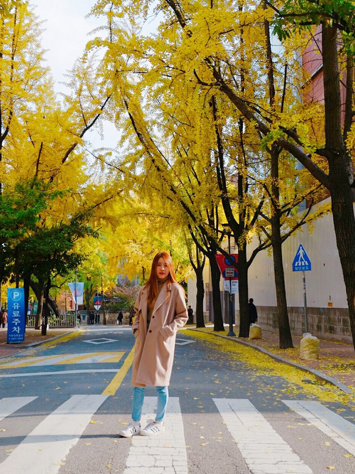 Deoksugung Doldam-gil road autumn seoul