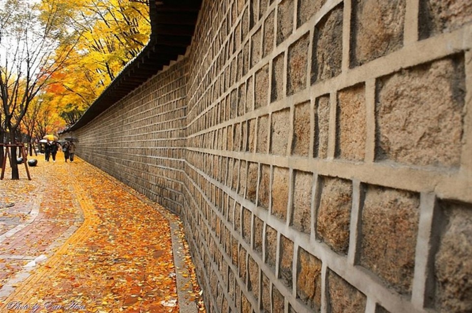 Deoksugung Doldam-gil road autumn seoul