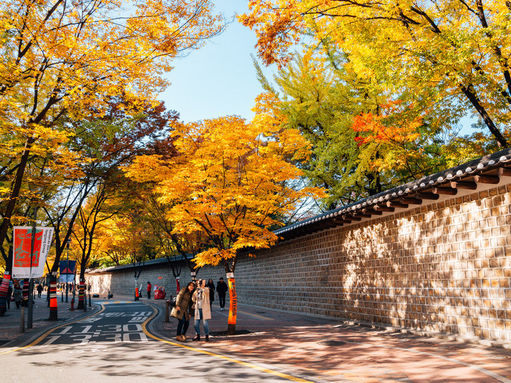 Deoksugung Doldam-gil road autumn249