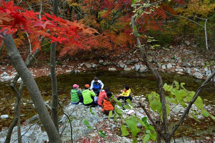 Naejangsan-national-park 121