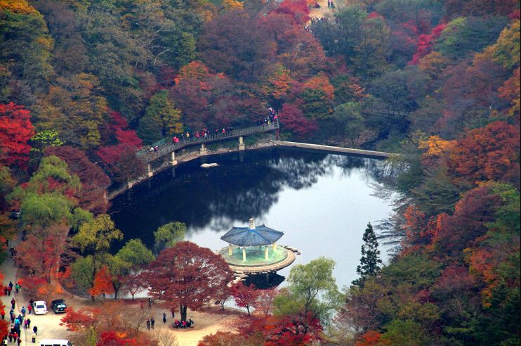 Naejangsan national park autumn4