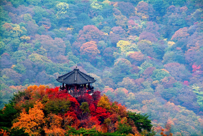 Naejangsan national park observation desk autumn