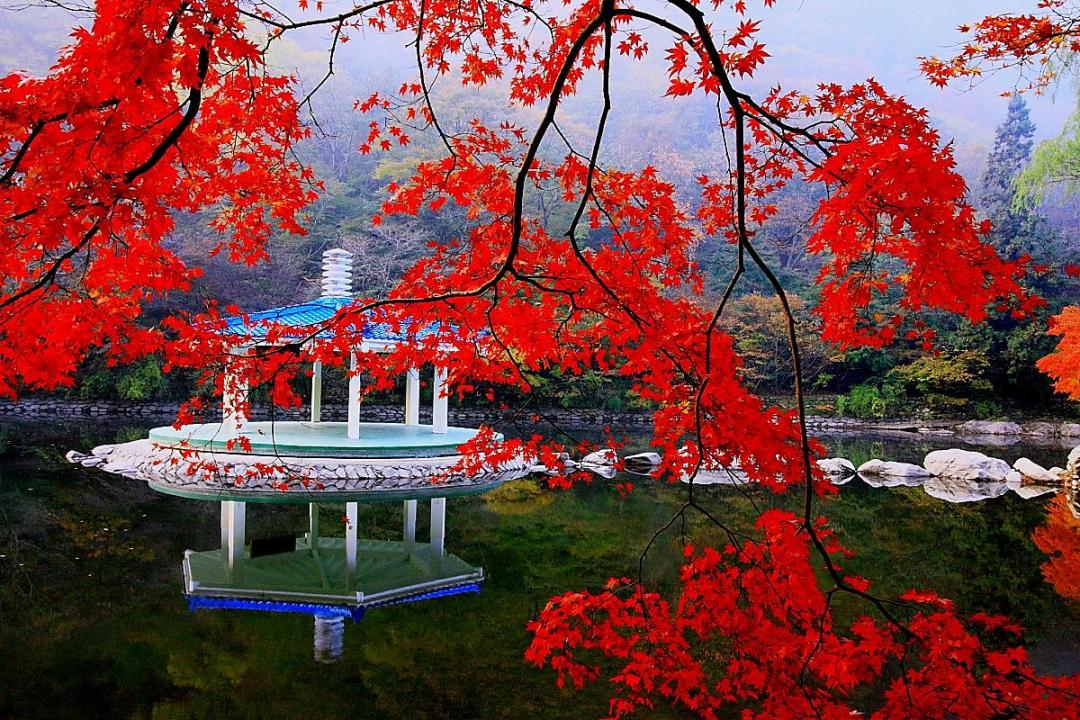 Naejangsan-national-park7