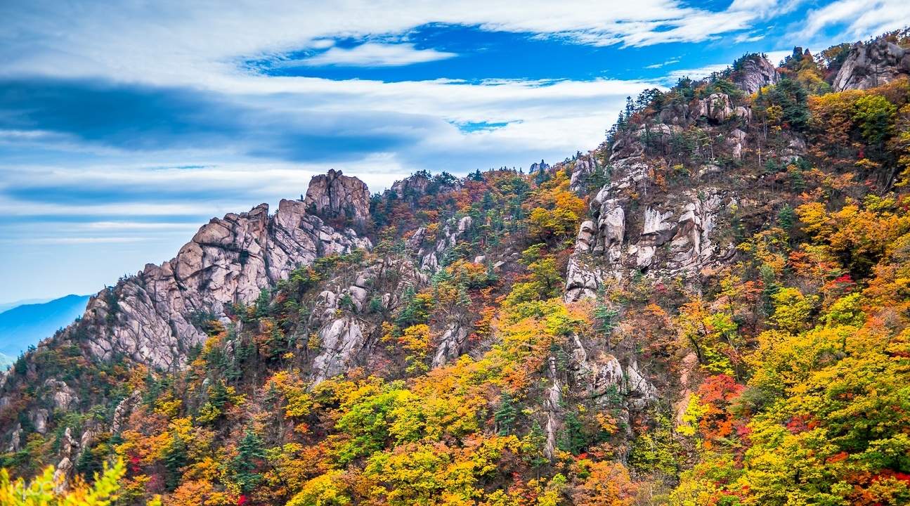 NaejangsanNationalParkAutumnFoliageDayTripfromSeoul (1)