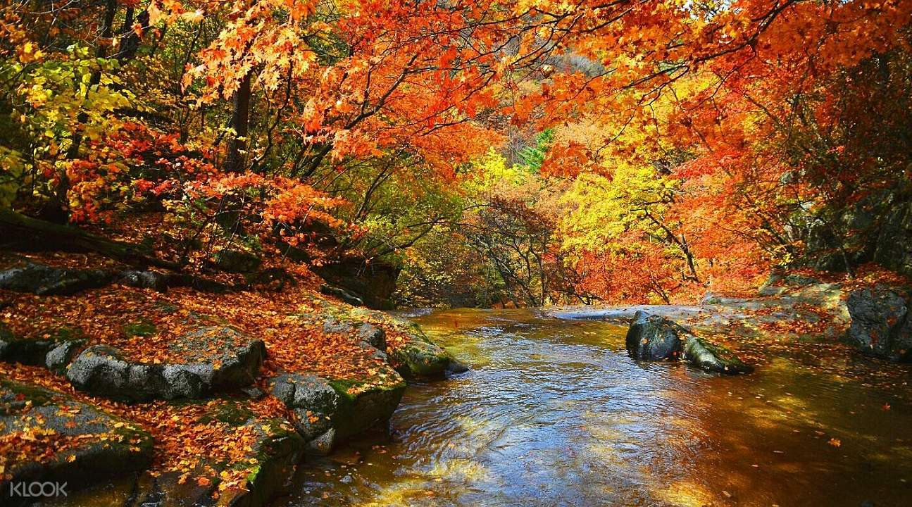 NaejangsanNationalParkAutumnSeasonDayTripfromSeoulbyWorldLoveTravel