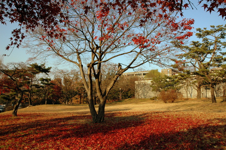 Nakseongdae park