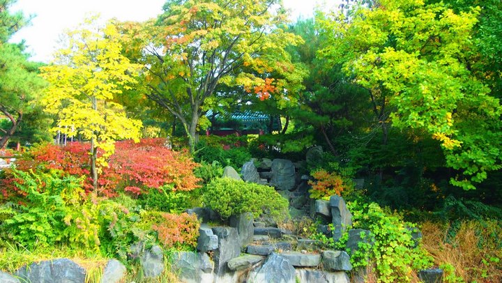 Nakseongdae’s Garosu-gil Road2