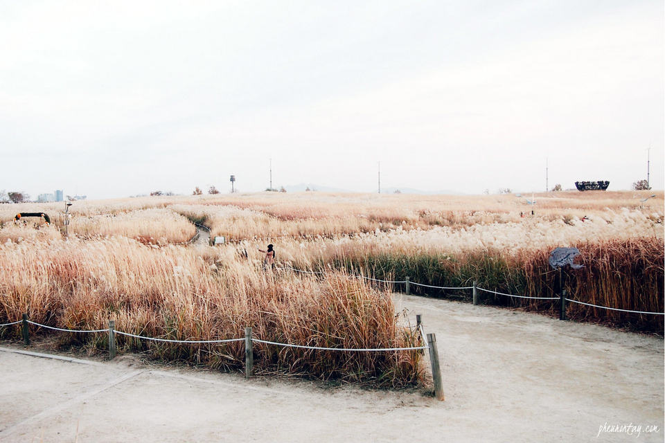 haneul-park-autumn seoul