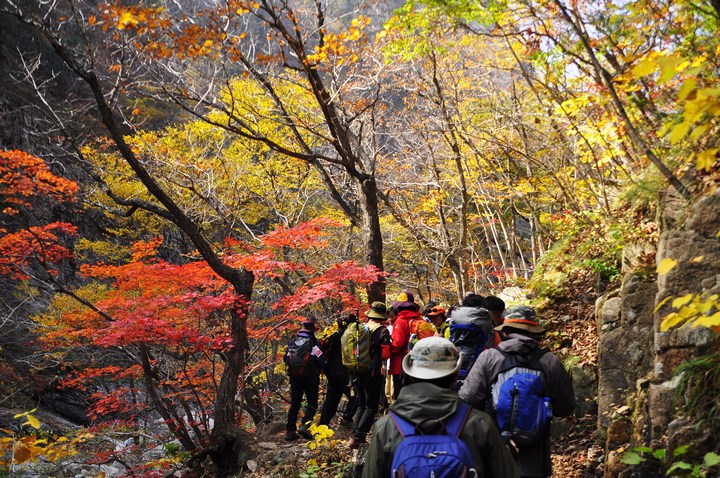 hiking korea autumn 2018 forecast blog
