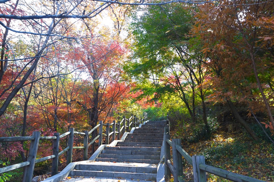 namsan autumn 2
