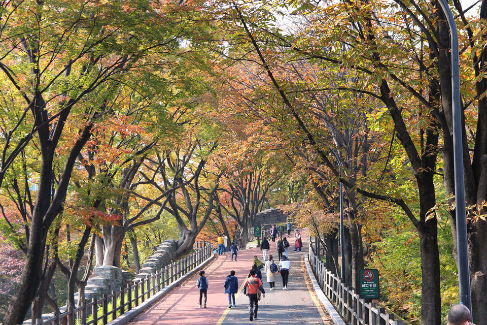 namsan autumn 2