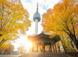 namsan autumn 2