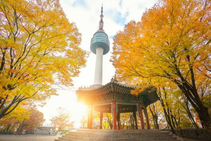 namsan autumn seoul2 namsan autumn 2