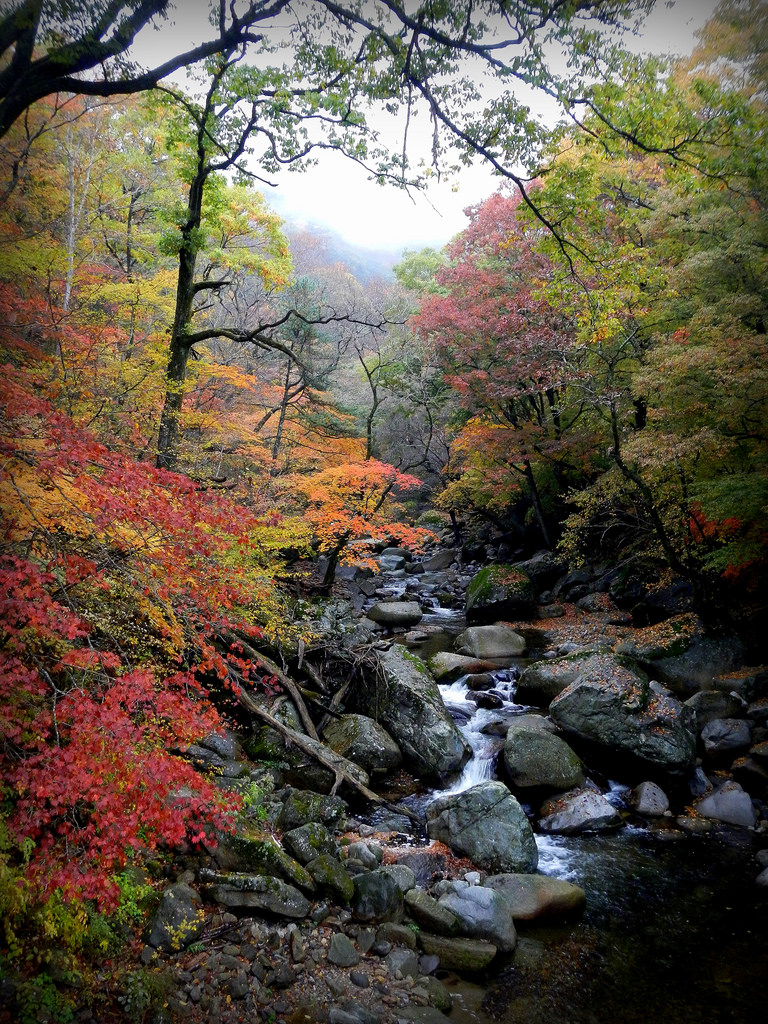 Autumn Colors in Korea - Gayasan National Park