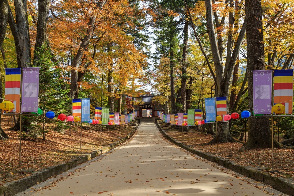 Autumn Colors in Korea - Gayasan National Park