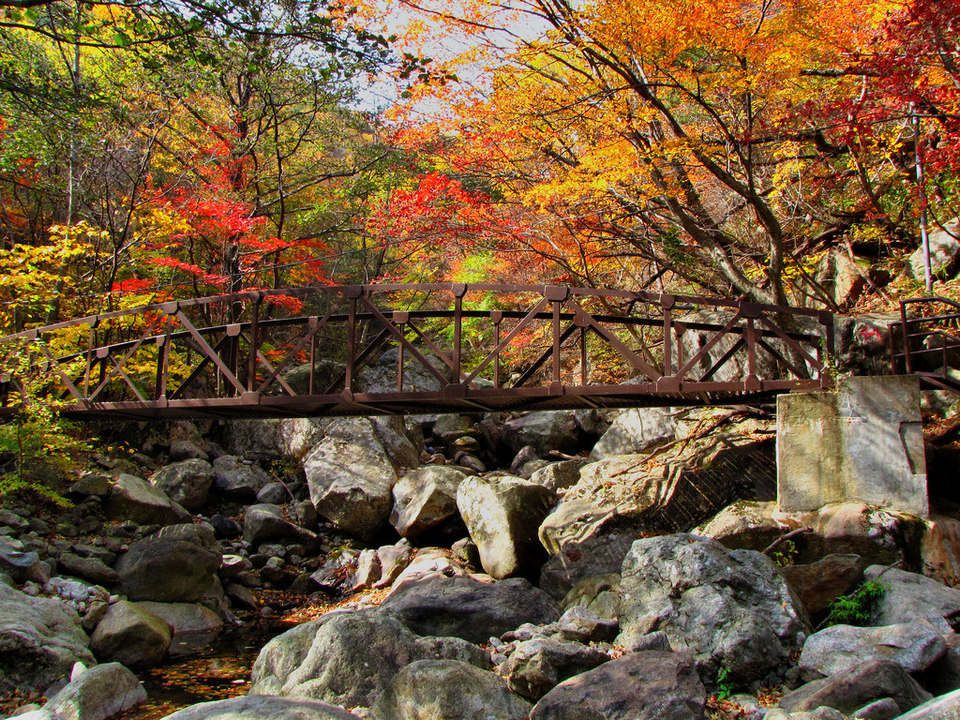 Bridge-Baemsagol Valley-Jirisan National Park