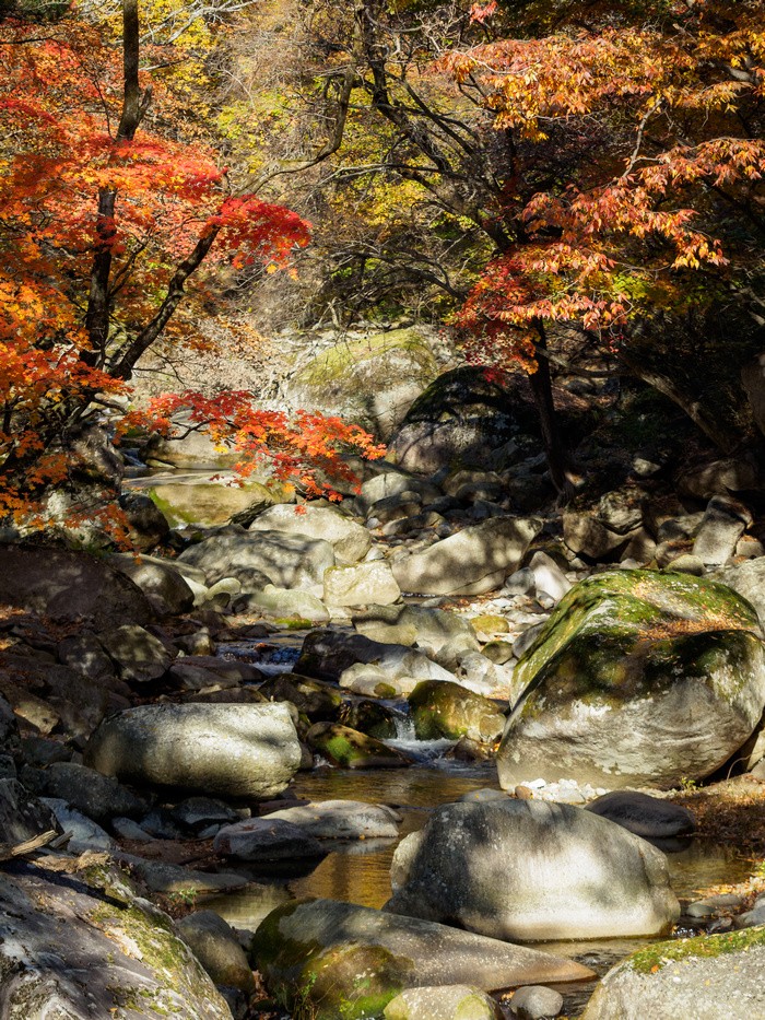 Gayasan Stream