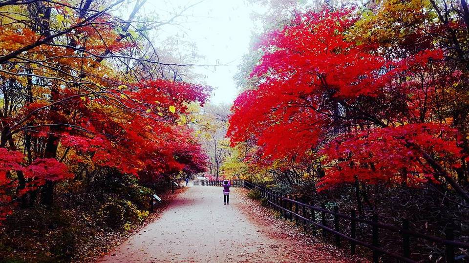 Haeinsa Temple busan