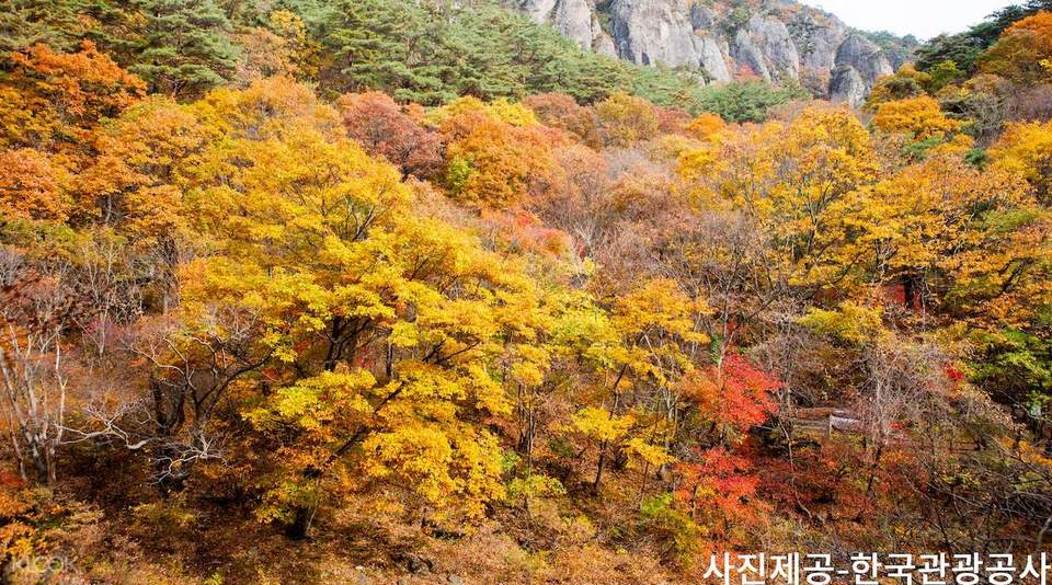 MountJuwangsanAutumnDayTripfromBusan