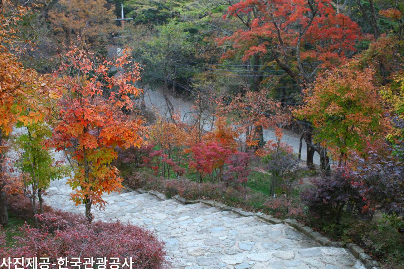 OdaesanNationalParkAutumnDayTripfromSeoulbyKTOURSTORY (1)