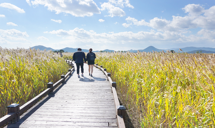 Suncheonman Bay Wetland Reserve3