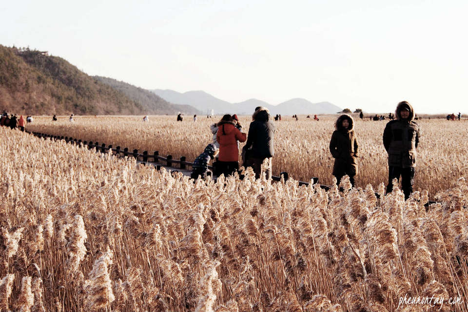 Suncheonman Bay Wetland Reserve34