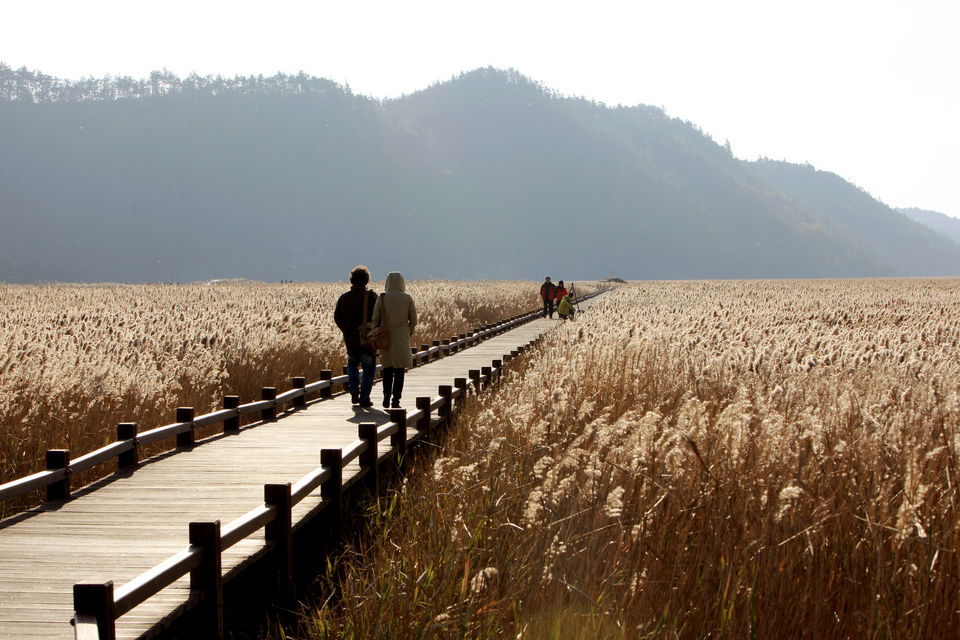 Suncheonman Bay Wetland Reserve345