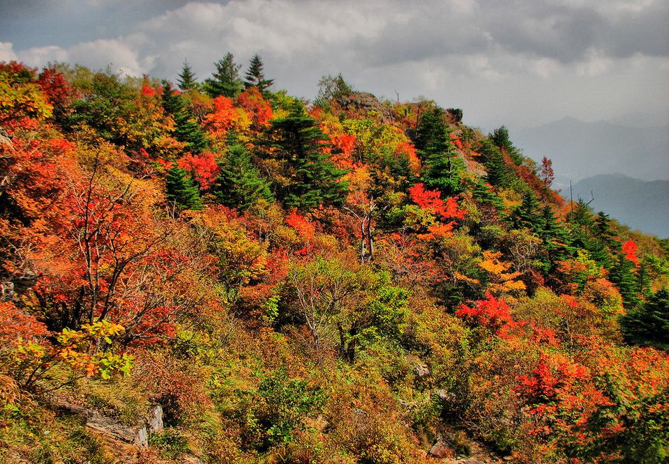autumn-Jirisan National Park 2