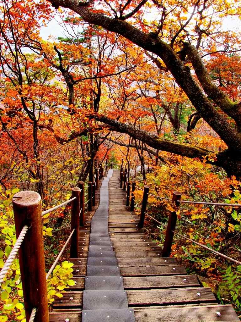 autumn-Jirisan National Park 2