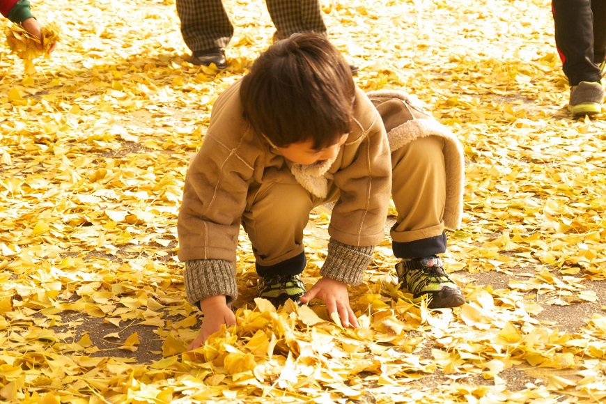 the ginkgo road of Hyeonchungsa 31