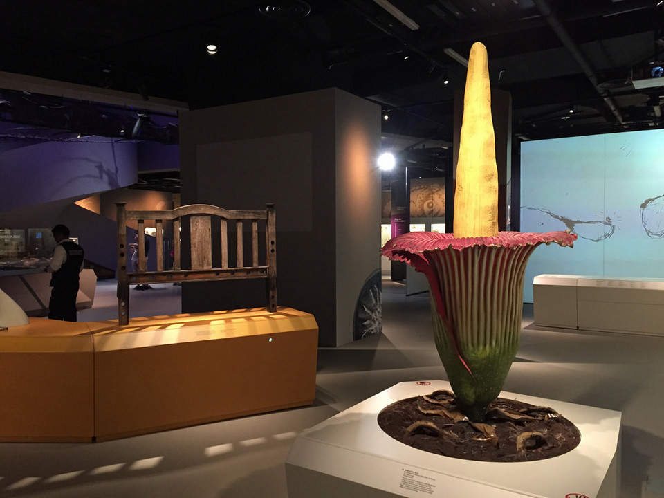 1Lee Kong Chian Natural History Museum singapore