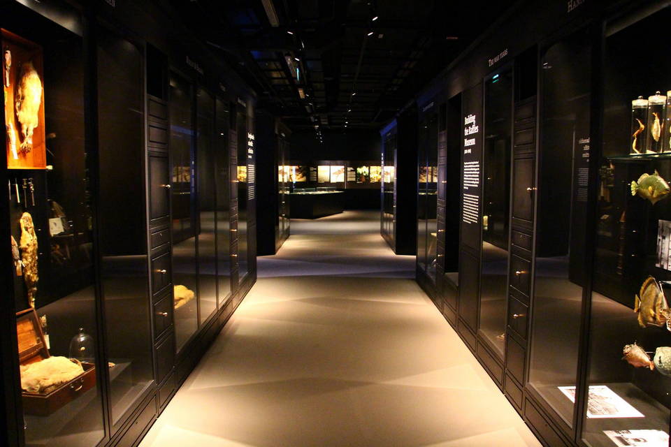 Lee Kong Chian Natural History Museum singapore