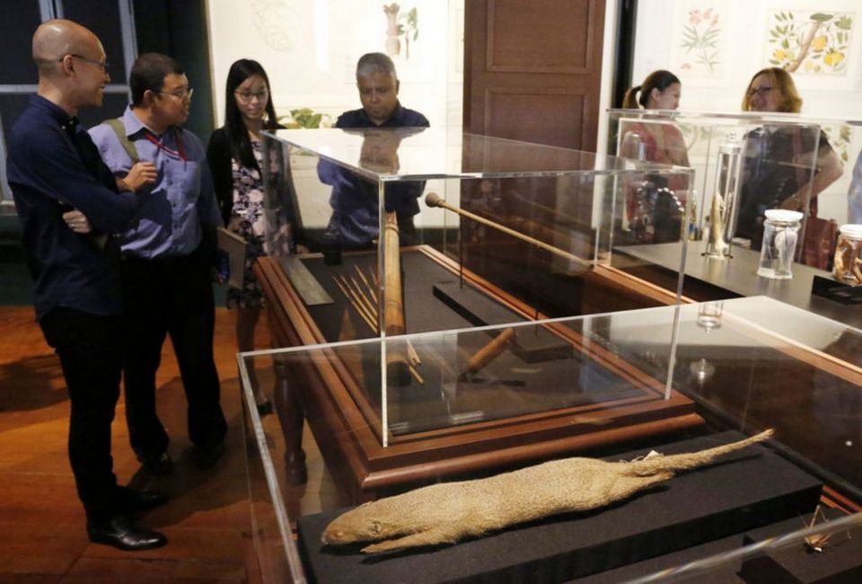 Goh Seng Choo Gallery
