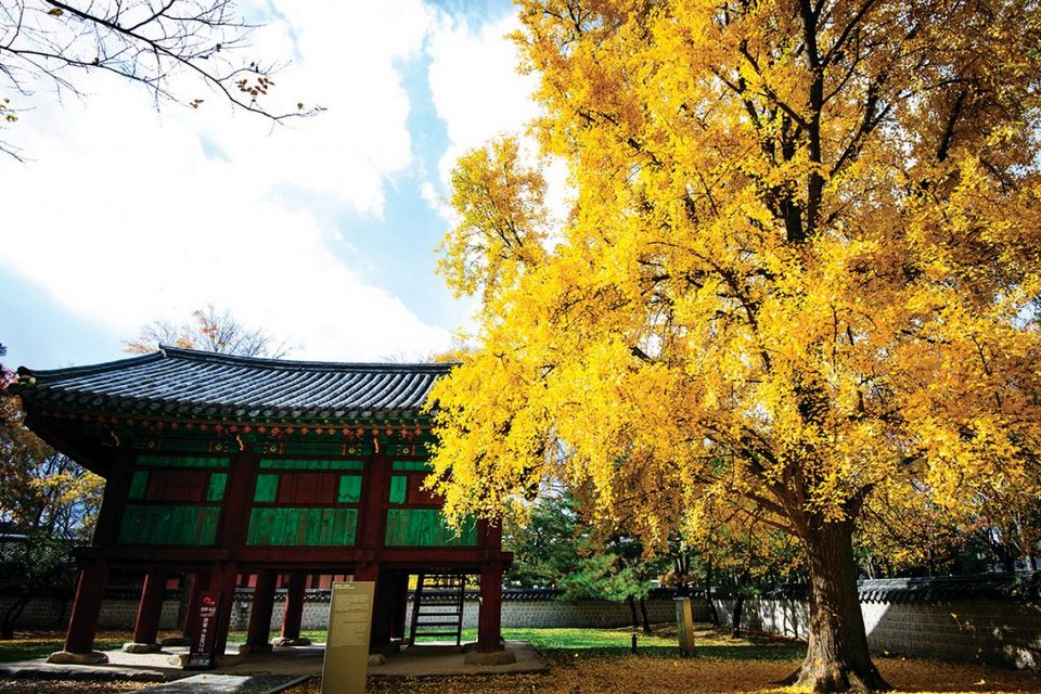 autumn jeonju blog jeonju travel blog jeonju travel guide jeonju hanok village1