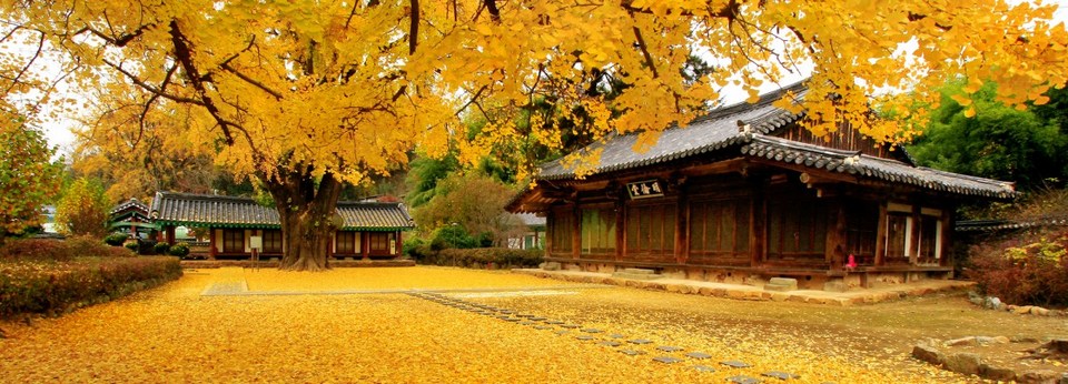 autumn jeonju blog jeonju travel blog jeonju travel guide jeonju hanok village1