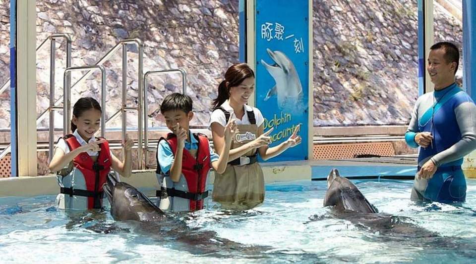 OceanParkDolphinEncounter