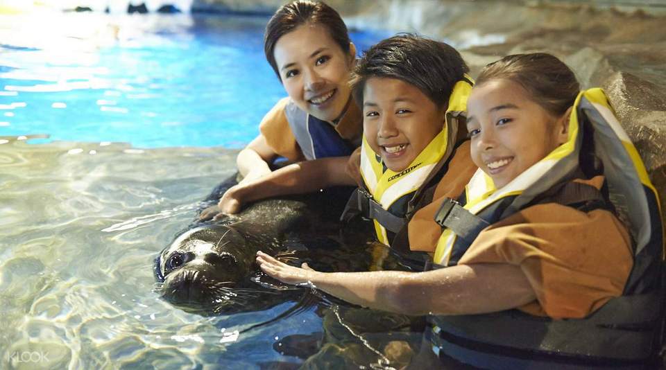 OceanParkSealEncounter