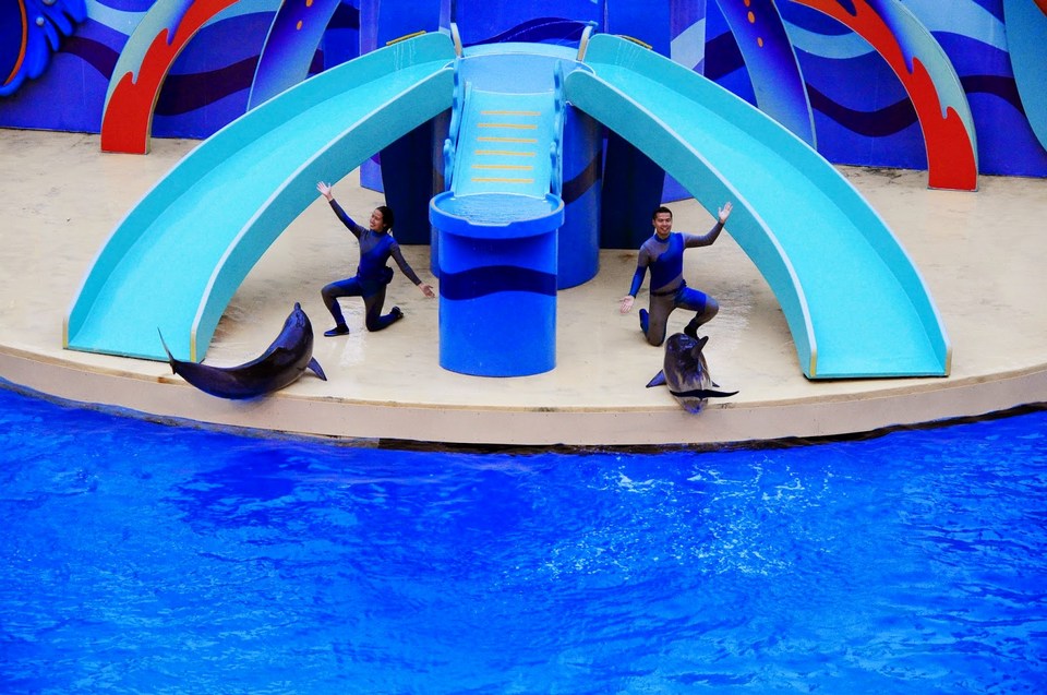 Polar Adventure show