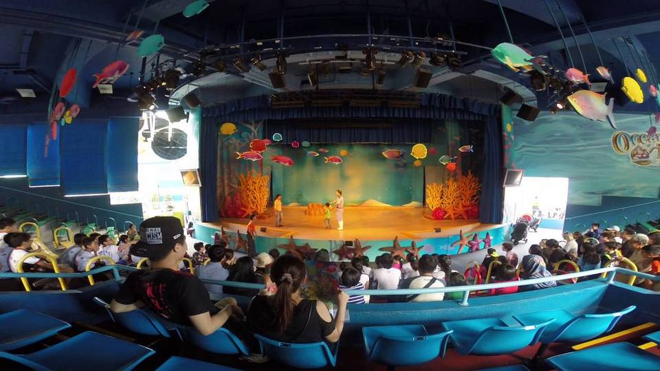 Sea Lion Fun Time Show (Ocean Park Hong Kong)