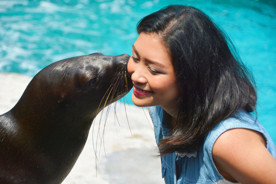 Sea-Lion-Show21