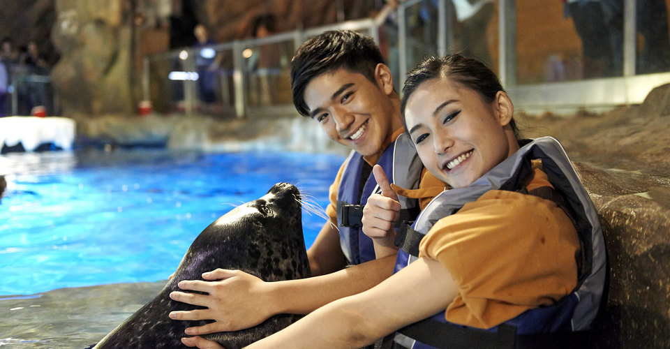 OceanParkSealEncounter
