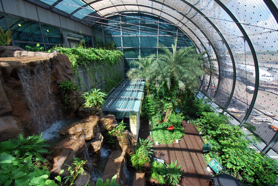 Butterfly Garden, Changi Airport