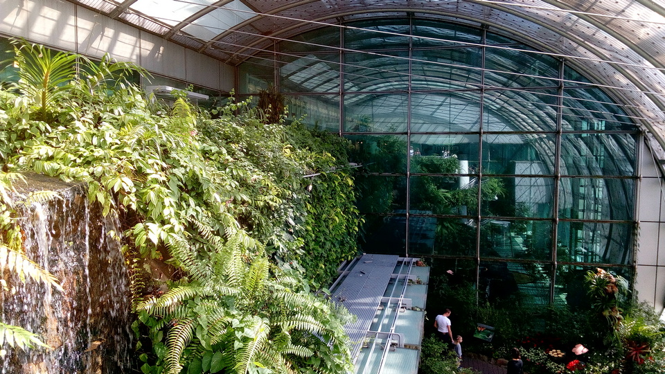 Butterfly Garden changi airport