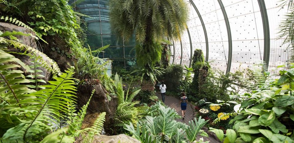 changi airport garden