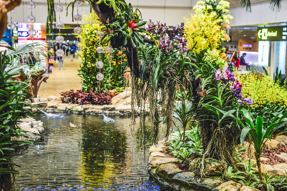 orchid garden singapore changi Credit: What to do in Changi Airport blog.