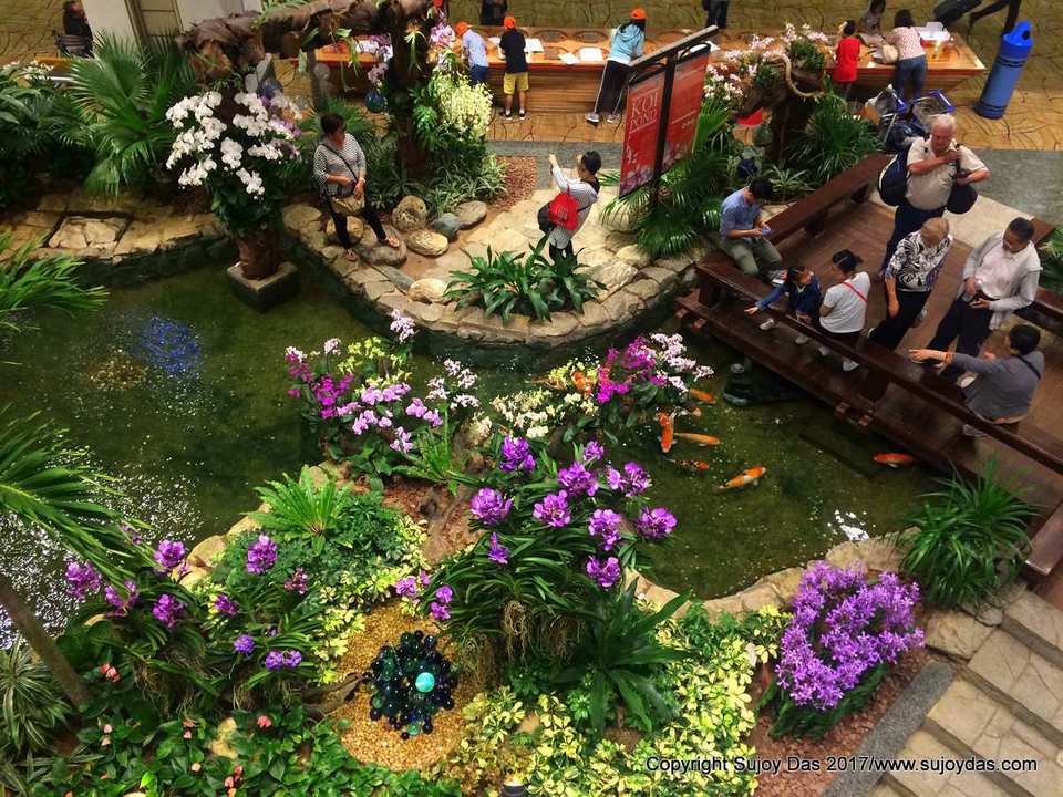 orchid garden singapore changi